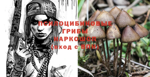 ECSTASY Белокуриха