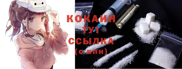 ECSTASY Белокуриха