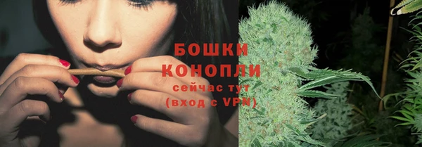 ECSTASY Белокуриха