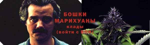 ECSTASY Белокуриха
