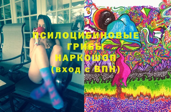 ECSTASY Белокуриха