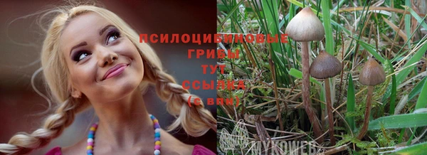 ECSTASY Белокуриха