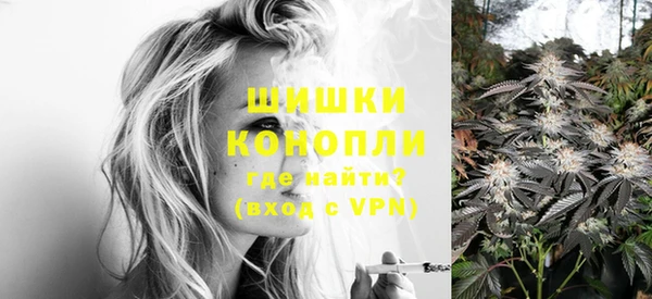 ECSTASY Белокуриха