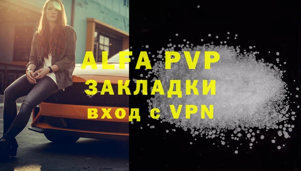 индика Богородицк