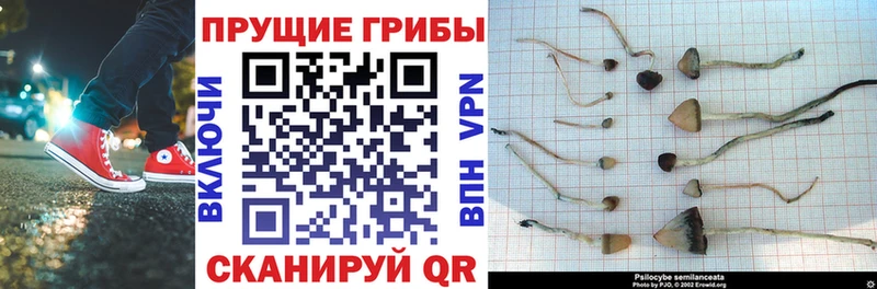Галлюциногенные грибы Magic Shrooms  omg   Ясногорск 